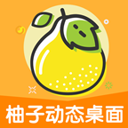 柚子动态桌面app图标