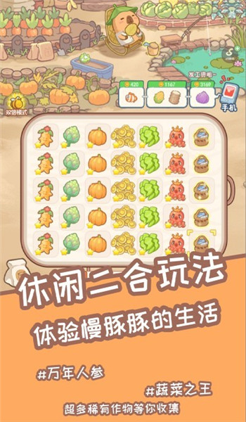 慢豚豚的生活图2