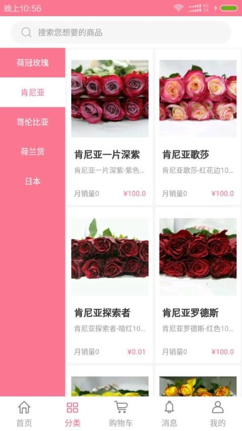 宋宇花城图4