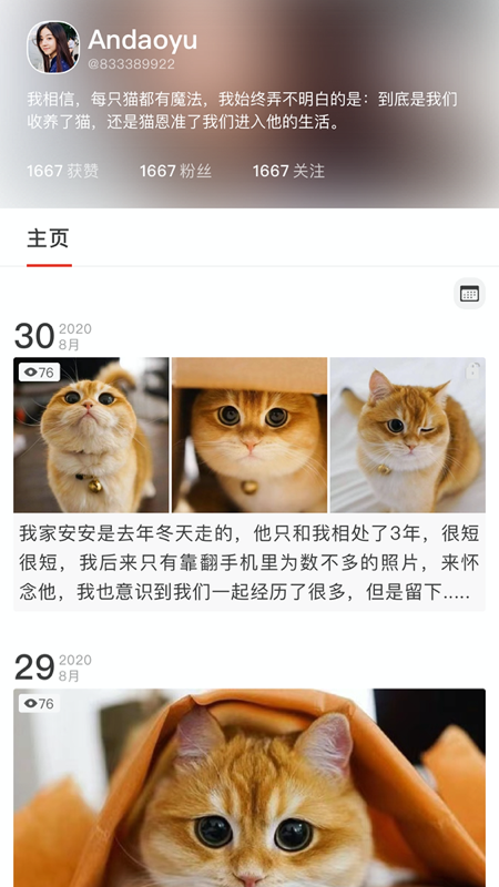 宠年年APP图1