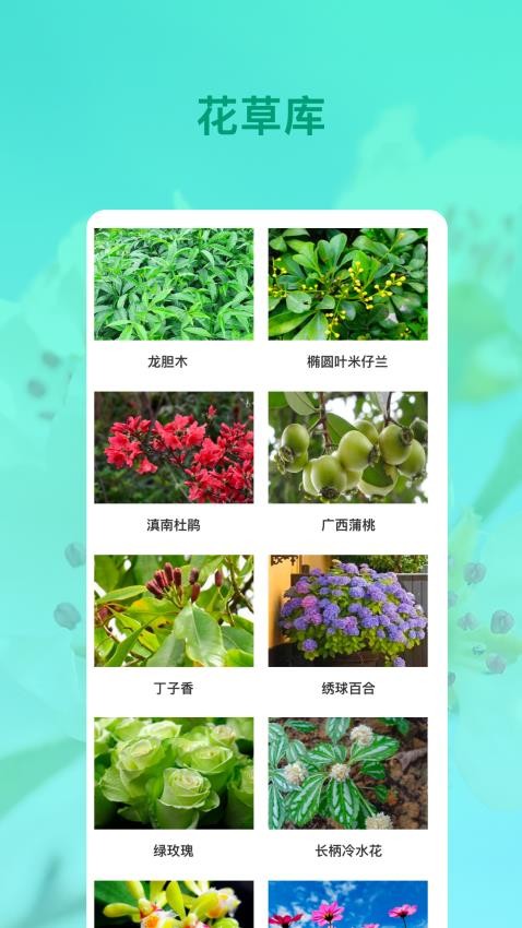识花app图3