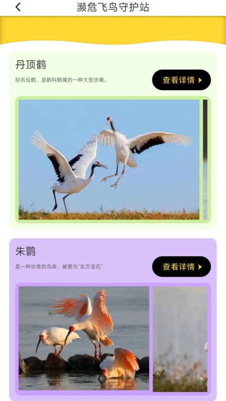 鸟语星球app