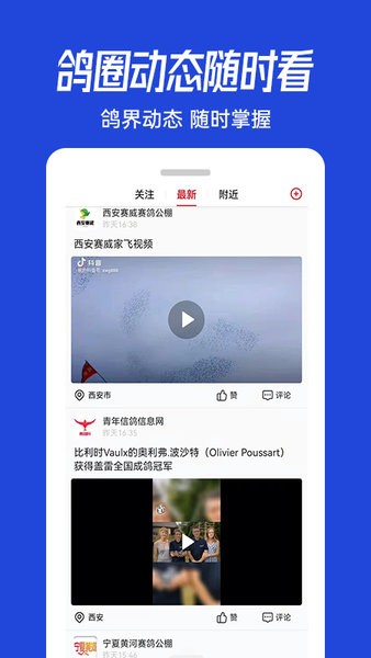 青鸽网app图2