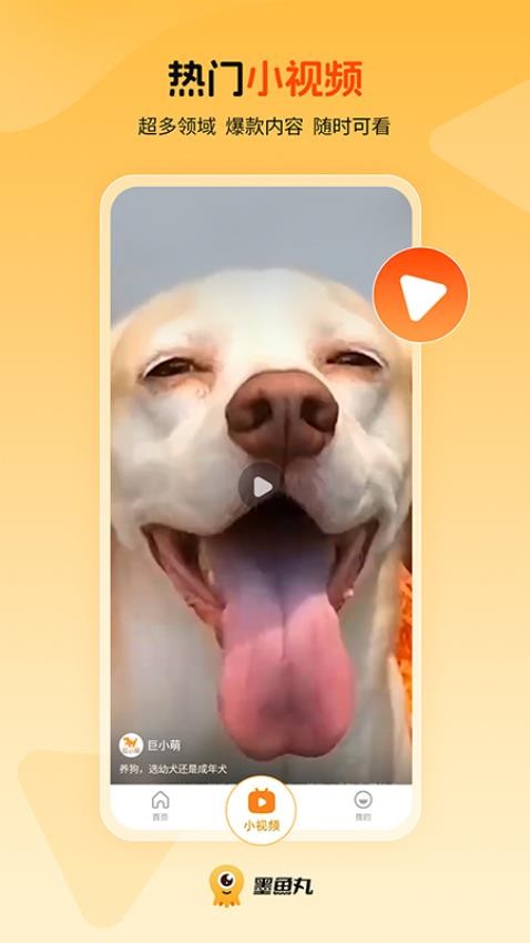 墨鱼丸软件