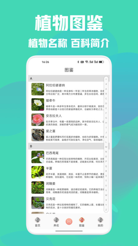 天源花语软件图3