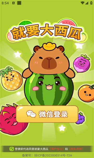 就要大西瓜游戏
