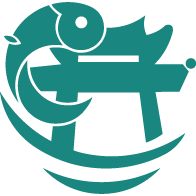 锦小鲤会计课堂图标
