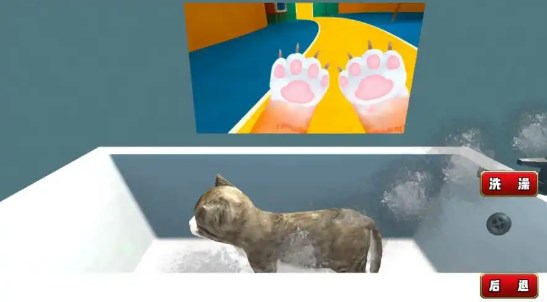 猫猫日常模拟手机版图3