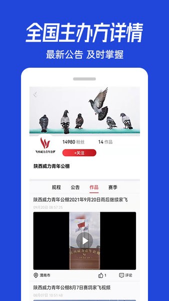 青鸽网app图1