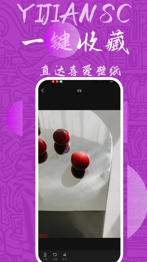 量岛app图1