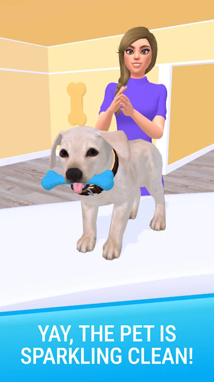 Pet Salon DIY游戏