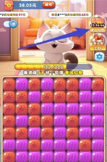 猫咪公社游戏