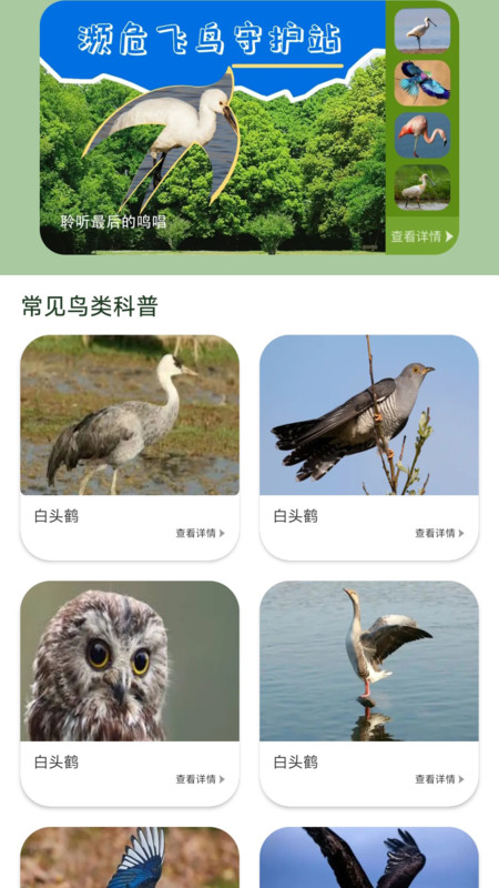 鸟语星球app图1