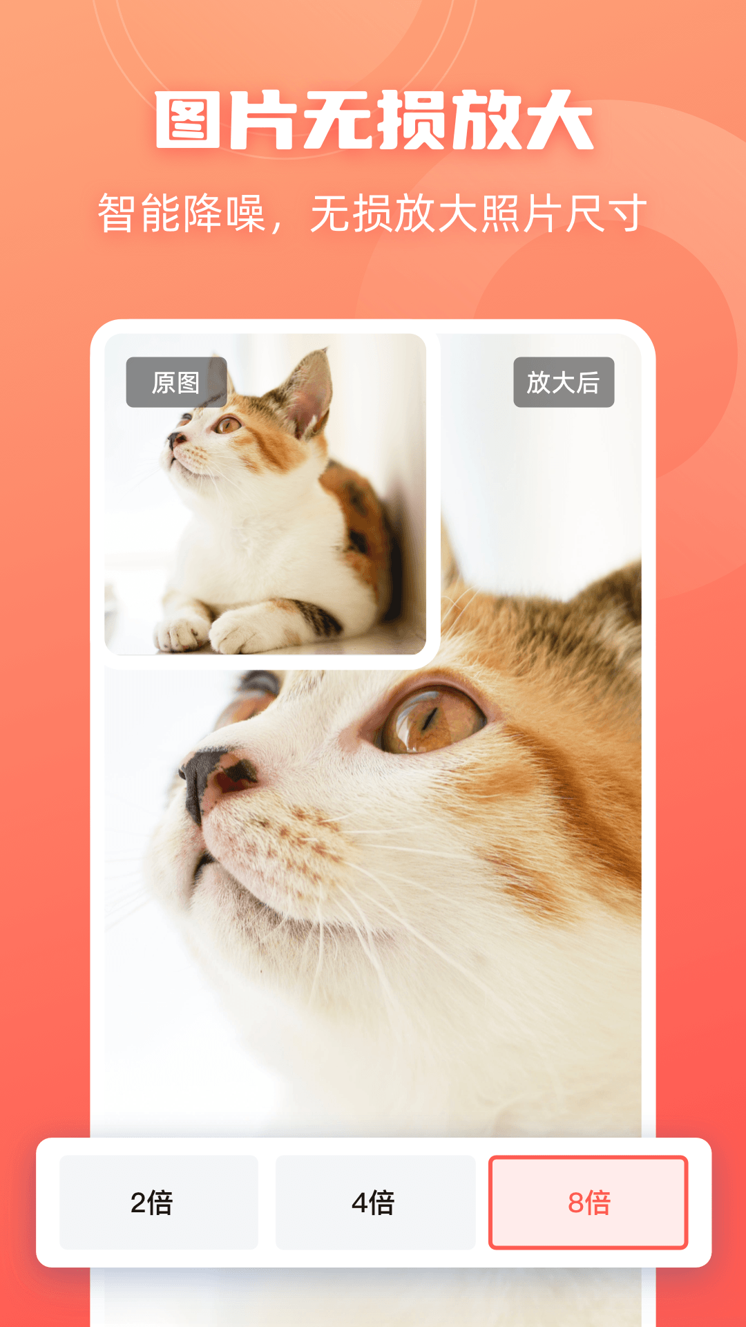 嗨格式抠图大师app图4