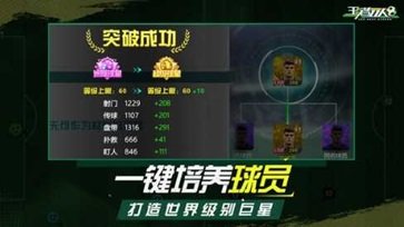 王者十一人官方版图3