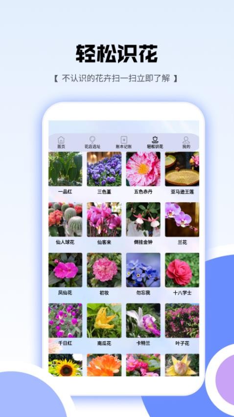 花朵爱消消app图1
