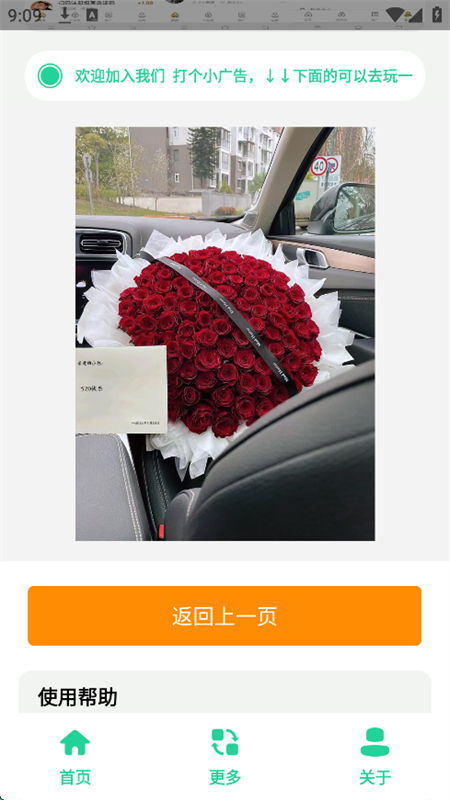 520束玫瑰花图软件图3