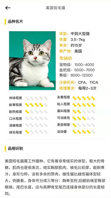万能宝宠物