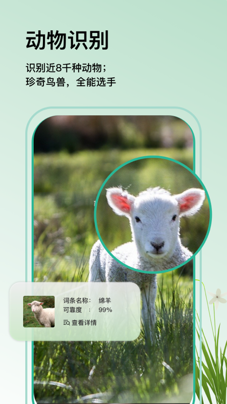 万物识图app图3