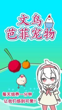文鸟芭菲宠物图3