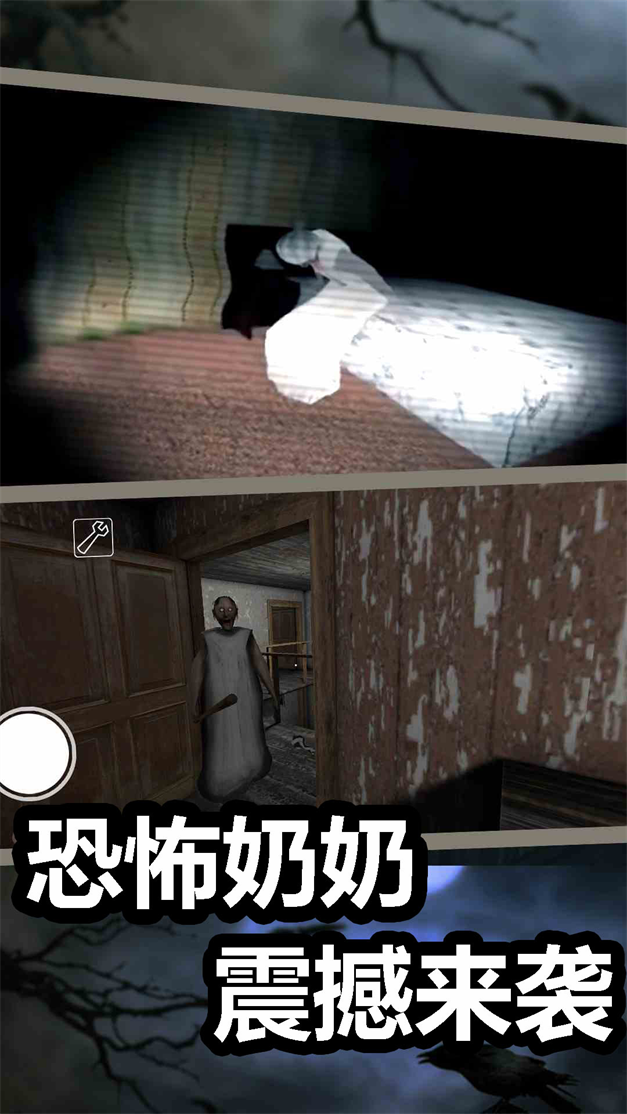 恐怖奶奶完结章游戏图3