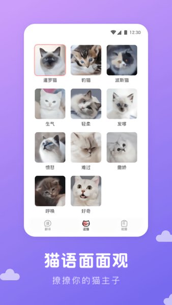 猫语翻译君软件图1