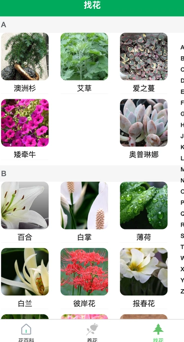 虎步花园app图3