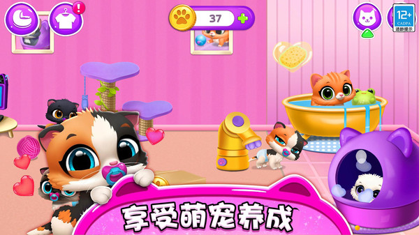 精灵养成记游戏图4