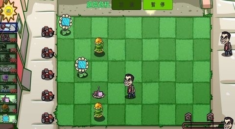 僵尸植物大乱斗