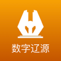 数字辽源app图标