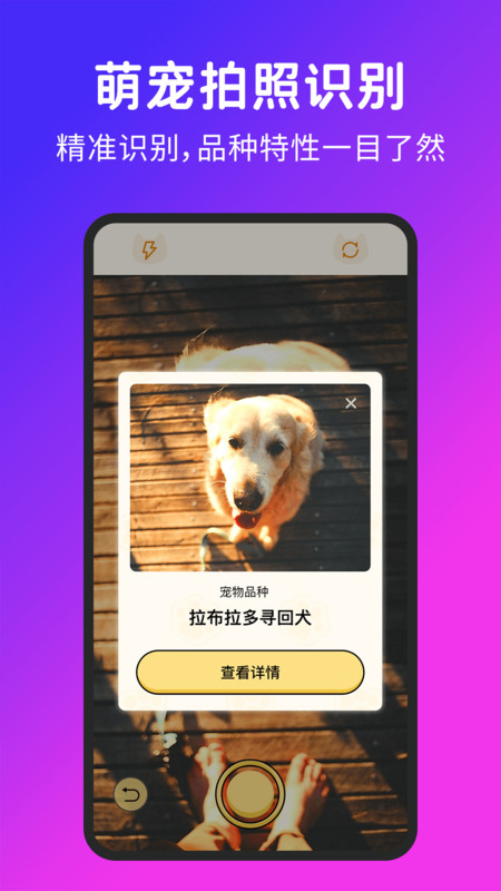喵汪宠物猫狗翻译器app图4