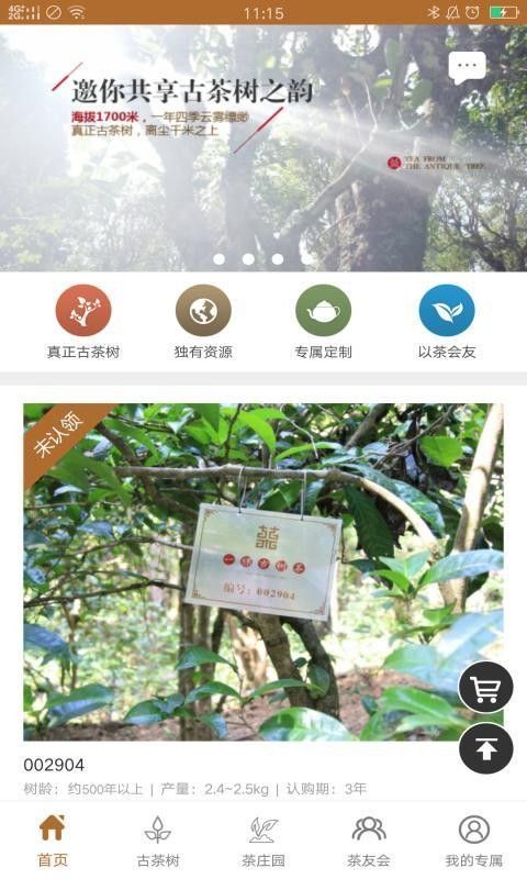 古树茶app