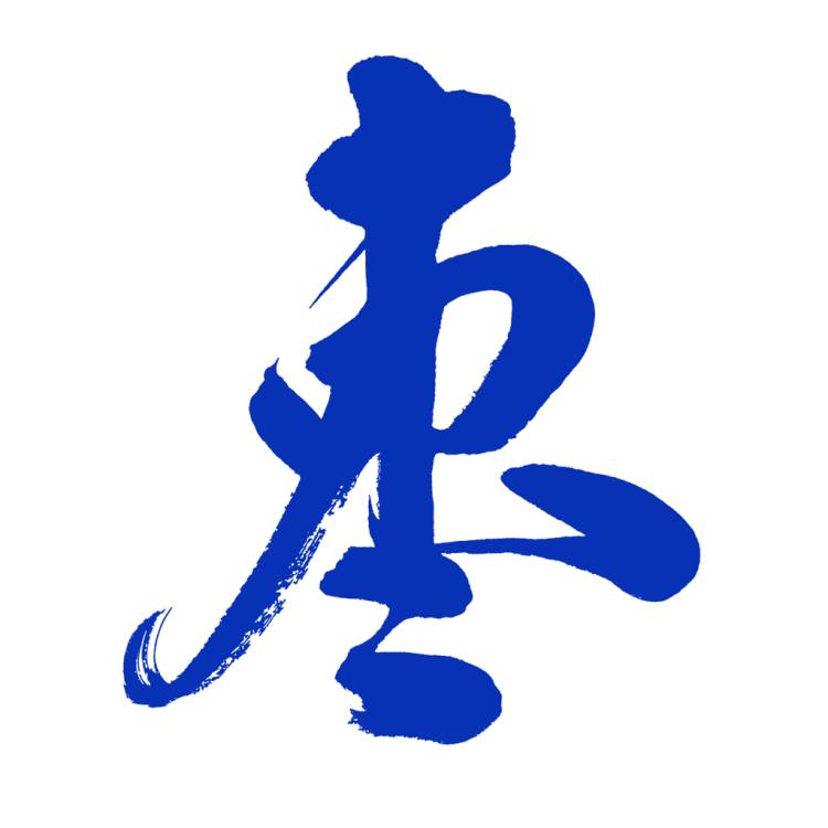 枣解决·枣满意app图标