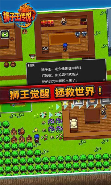 狮子王传说游戏图2