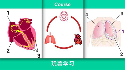 Reanimation inc手游图2