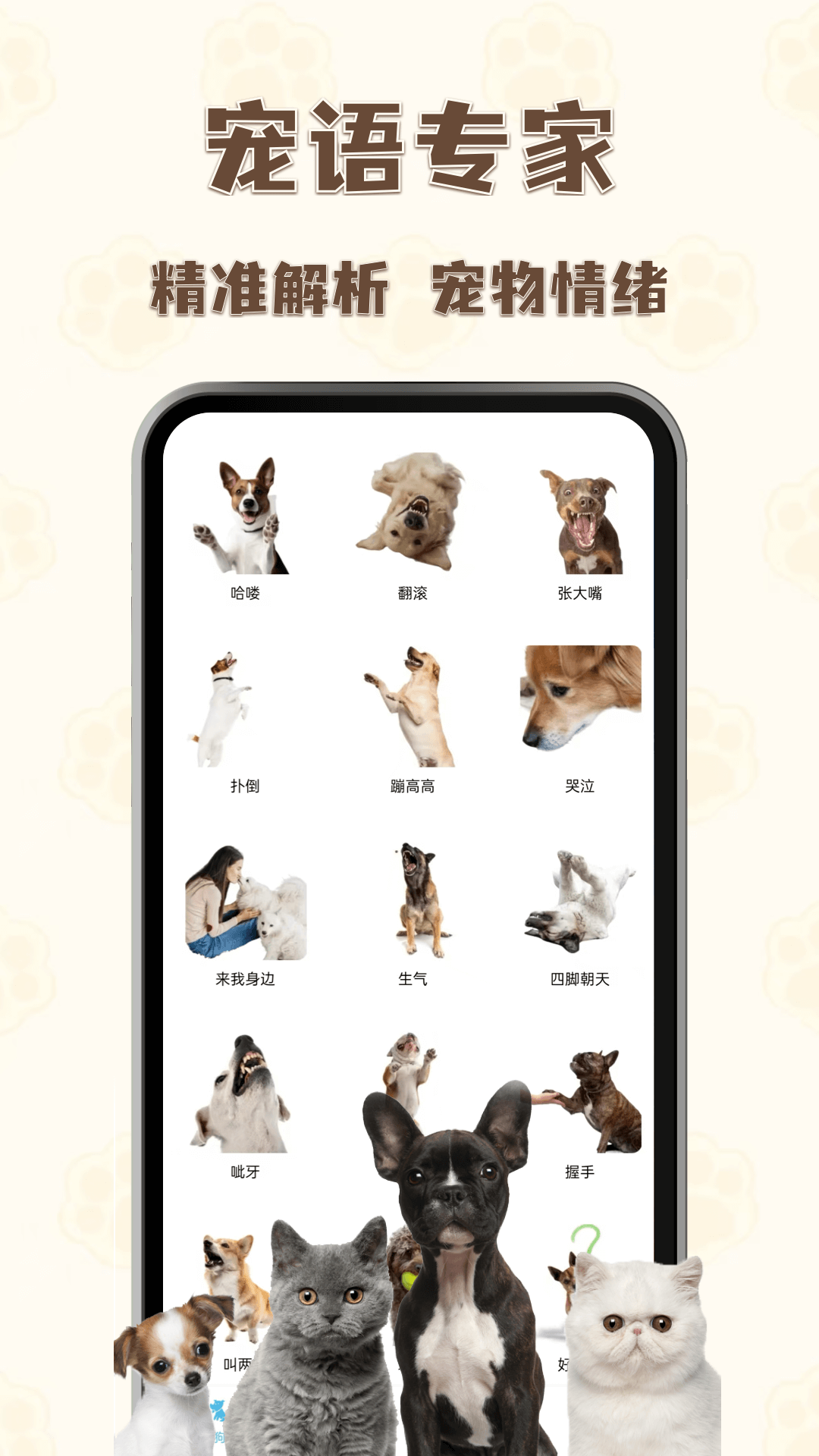 猫狗语言翻译王app图1