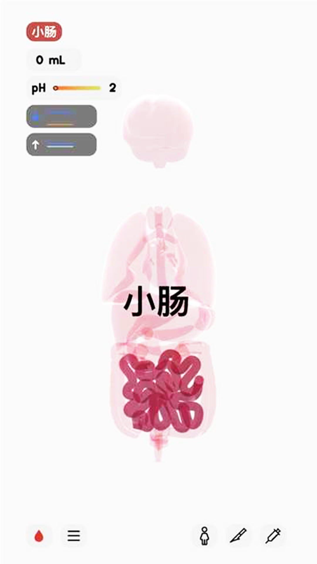 人体细胞模拟器游戏图3