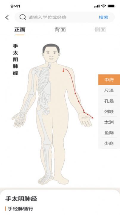 泰邦针灸选穴App图3