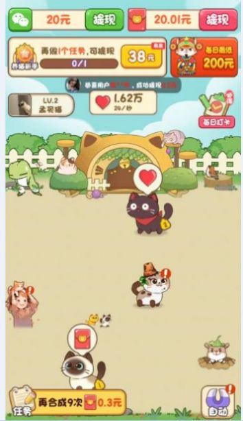 我家猫舍游戏图2