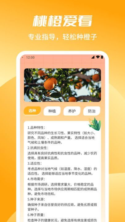 桃橙爱看app图1