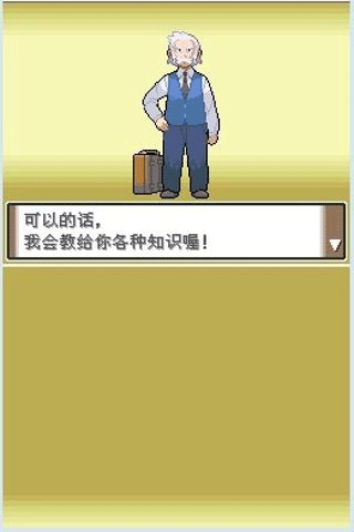 口袋妖怪白金图2