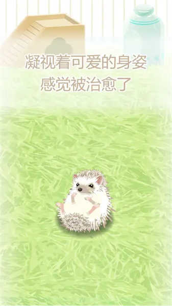 猬育成游戏图3