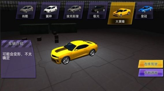 车祸狂热者安卓版
