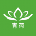 青荷健康app图标