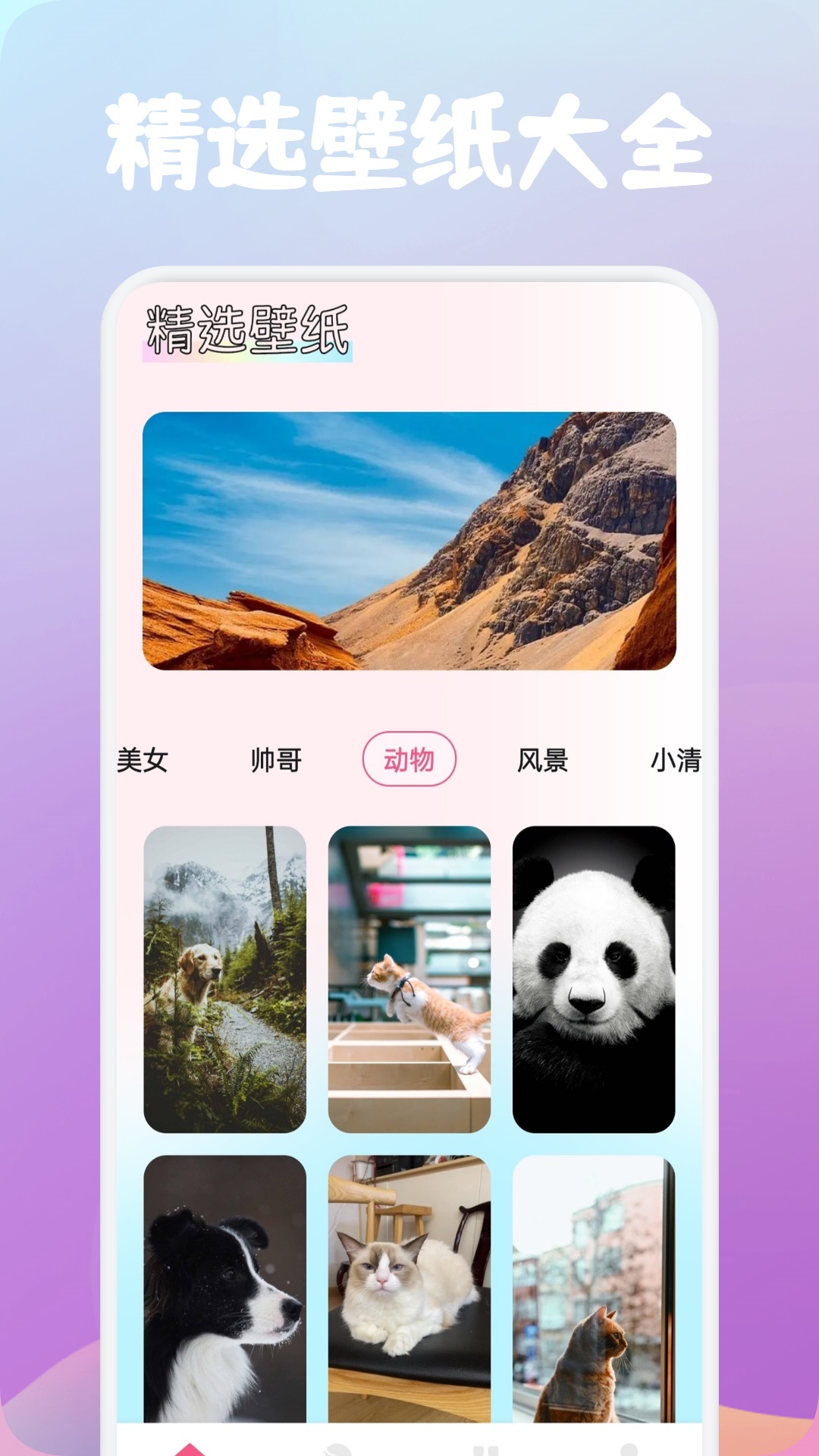 玫瑰壁纸软件