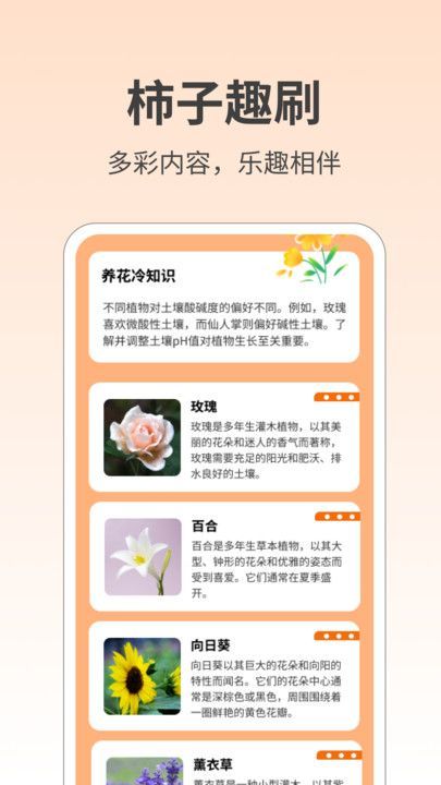 柿子趣刷app图3
