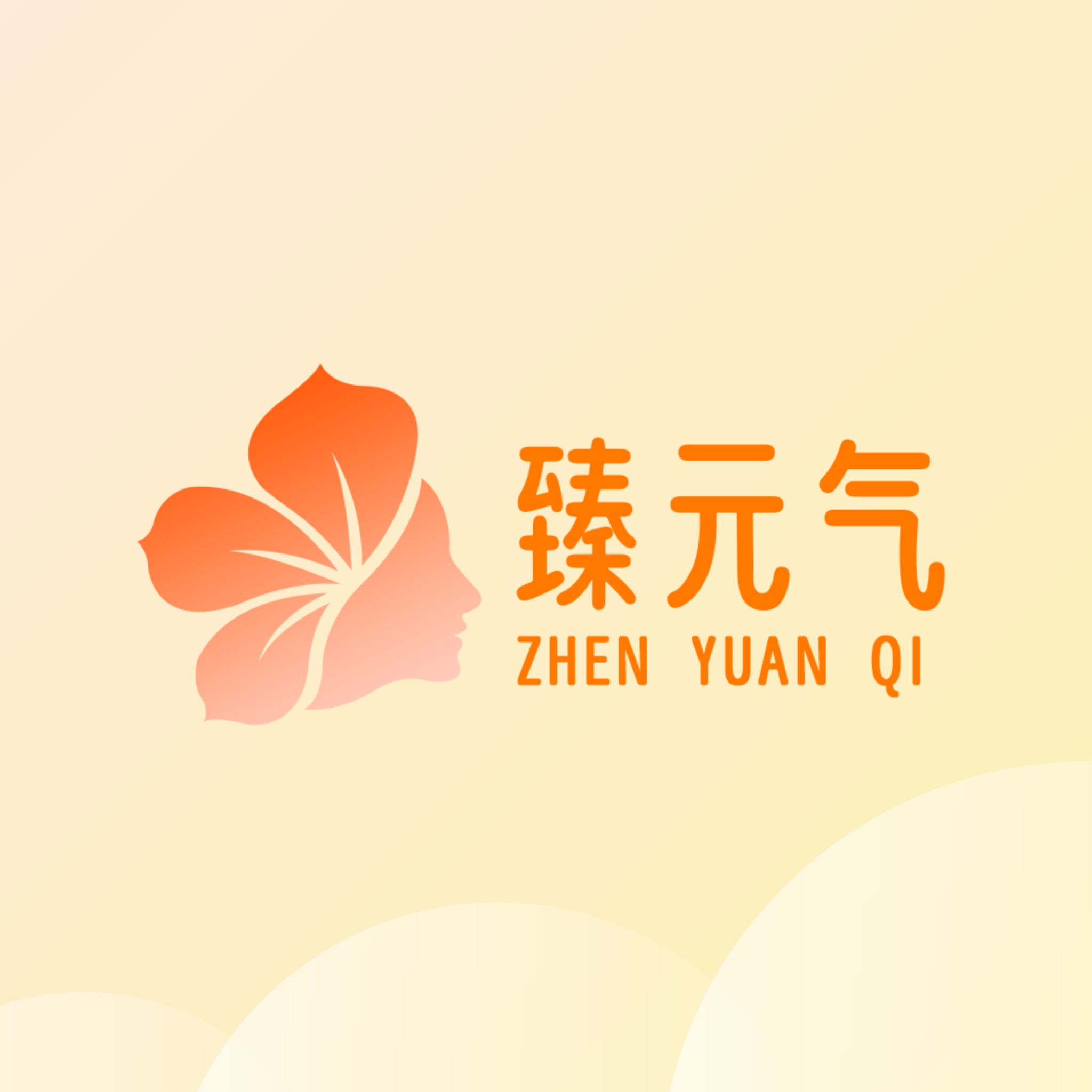 臻元气app图标