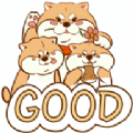 GOOD潮玩软件图标