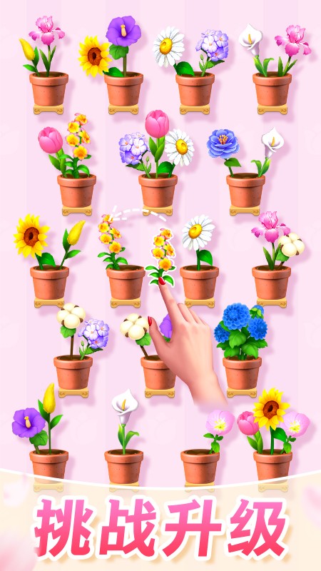 插花消除游戏图1
