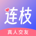 连枝软件图标